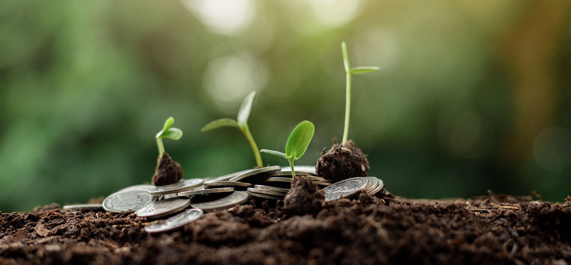 Young plants sprout through soil and coins.