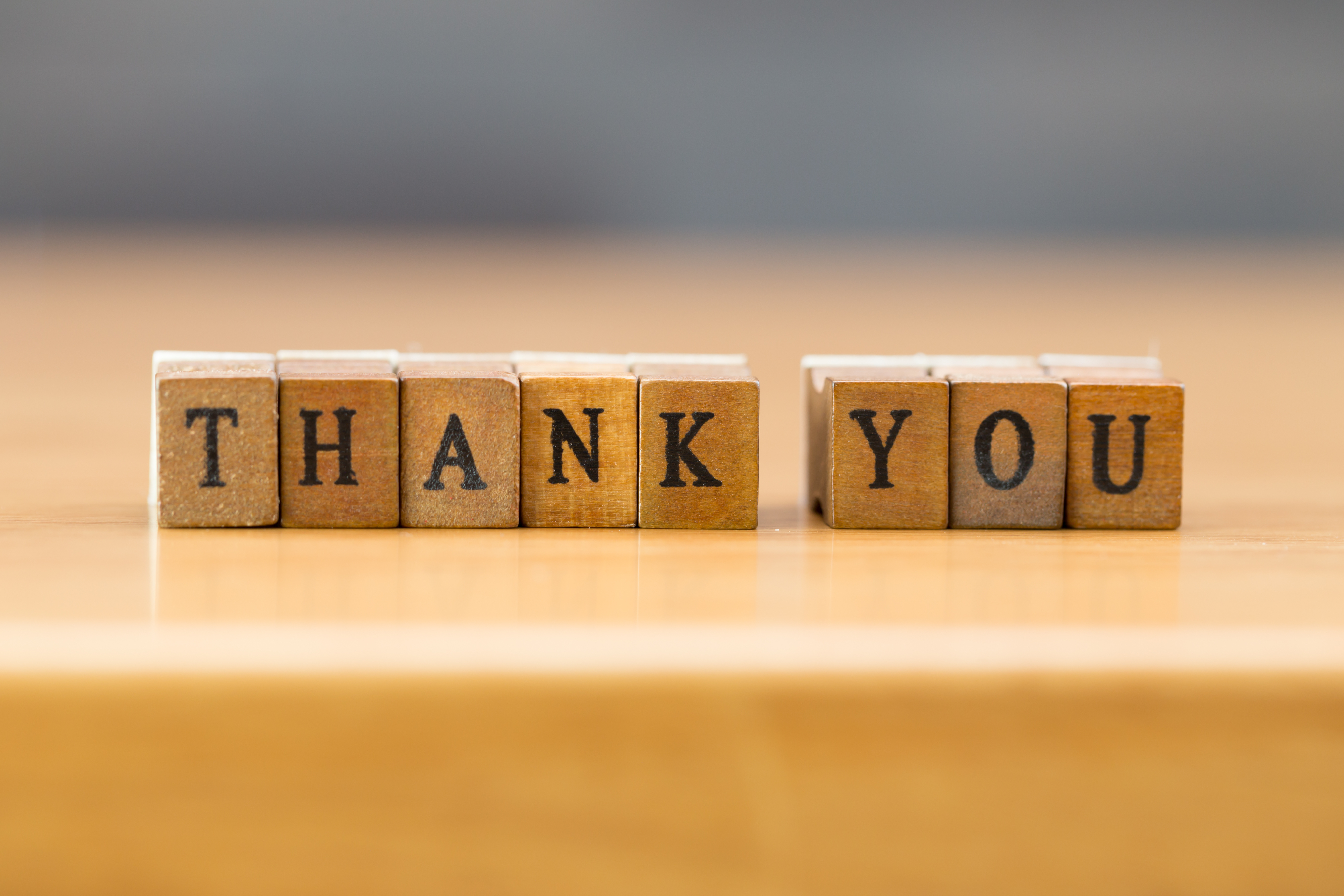 Wooden blocks spell 'THANK YOU'
