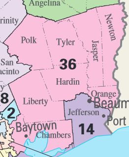 Texas' 36th Congressional District - Ballotpedia