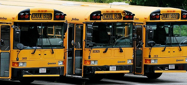 School buses.jpg