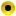 Dottedyellow.png